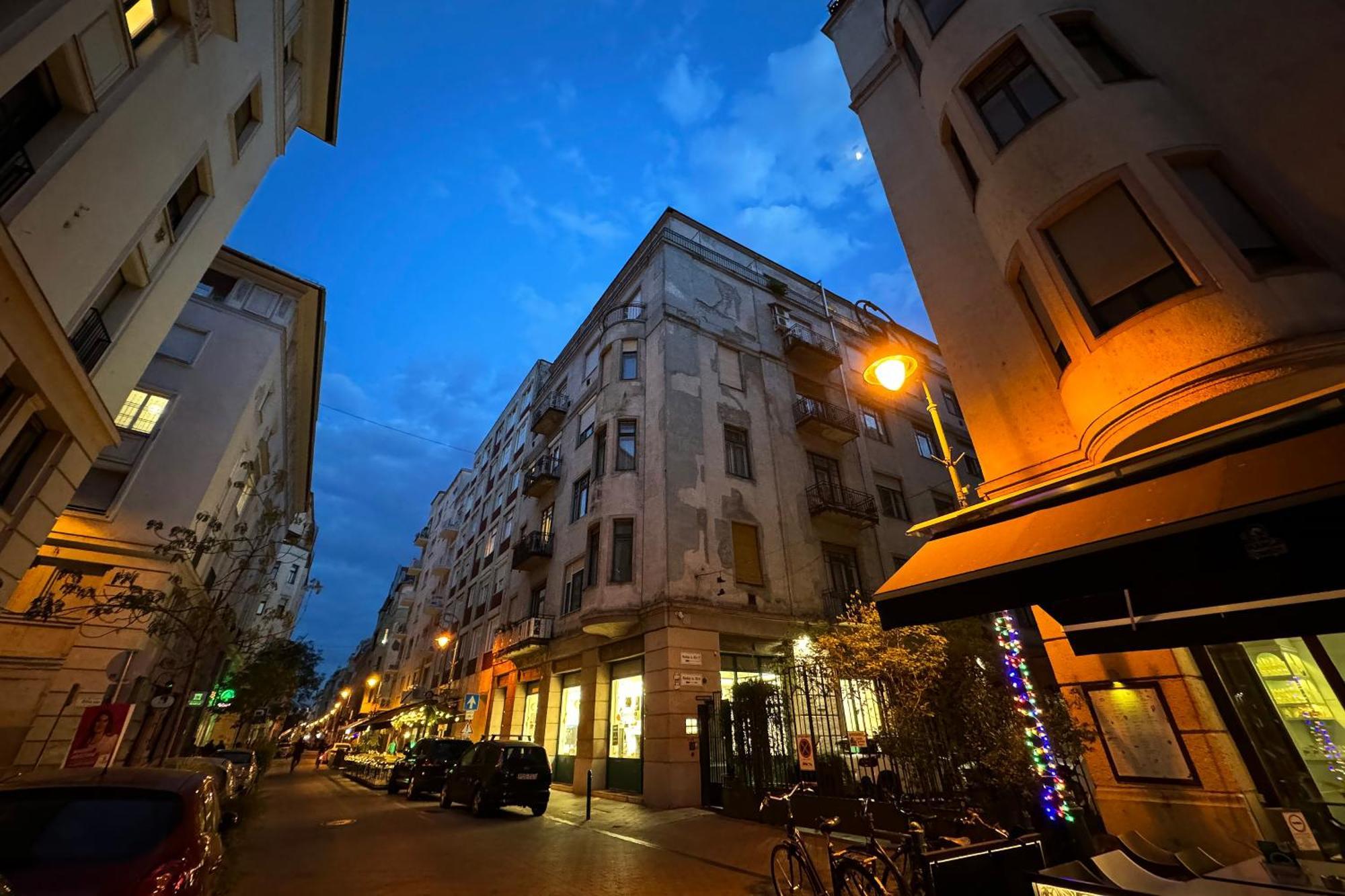 Jungle Aesthetics Downtown Apartman Aircon And Garage Parking Budapest Luaran gambar