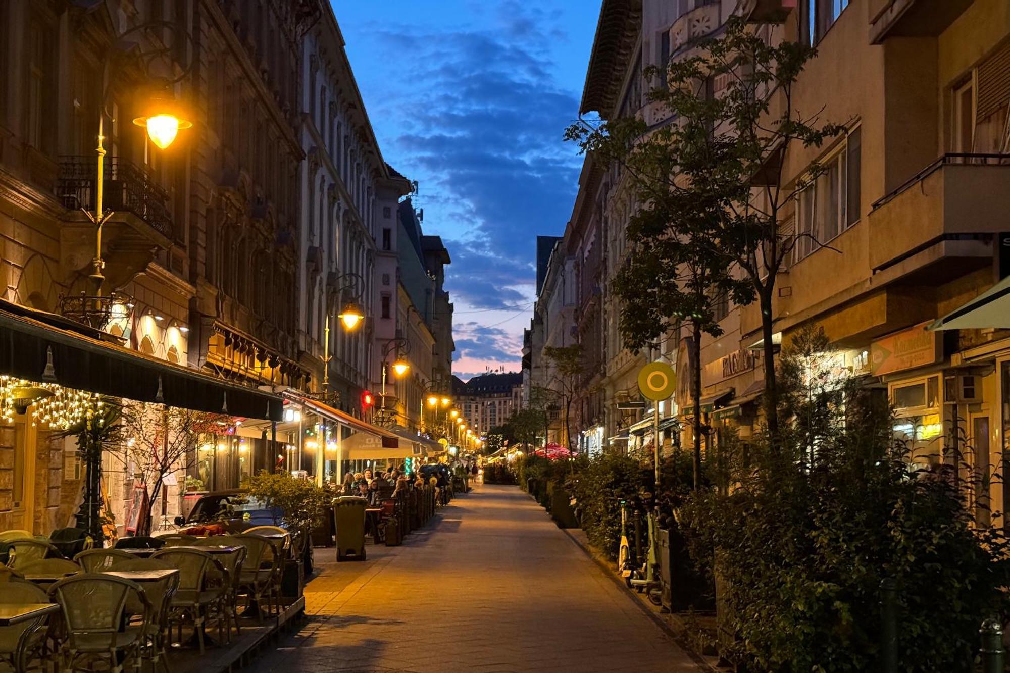 Jungle Aesthetics Downtown Apartman Aircon And Garage Parking Budapest Luaran gambar