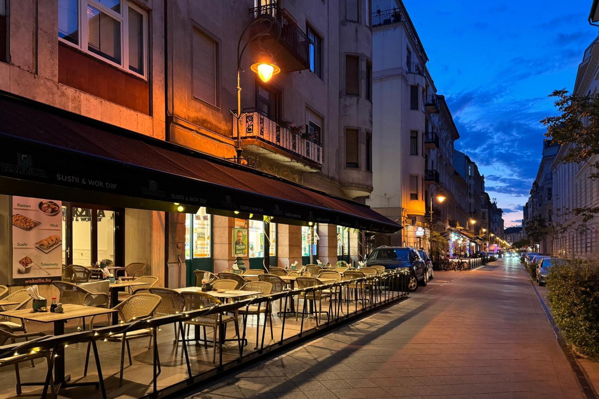 Jungle Aesthetics Downtown Apartman Aircon And Garage Parking Budapest Luaran gambar