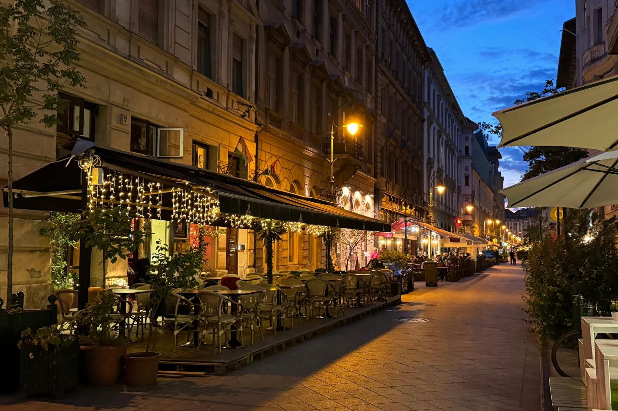 Jungle Aesthetics Downtown Apartman Aircon And Garage Parking Budapest Luaran gambar